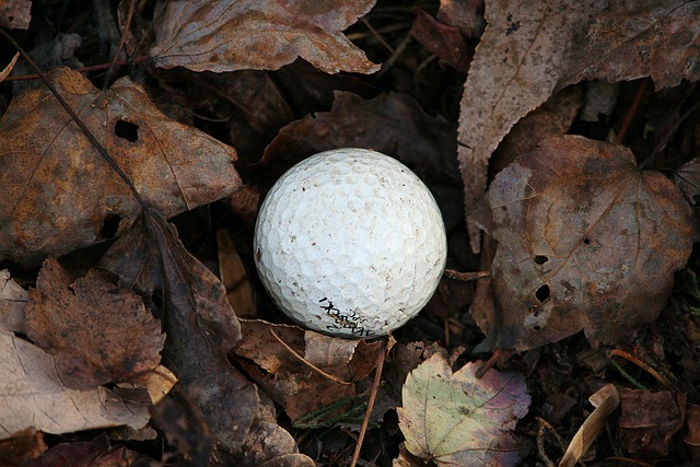 golf ball, duff, lost, bad golfer, mudball, out of bounds, tree shot, brown golf, golf ball, golf ball, golf ball, golf ball, golf ball, lost